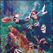 Orlando Park Tickets