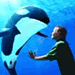 SeaWorld Orlando