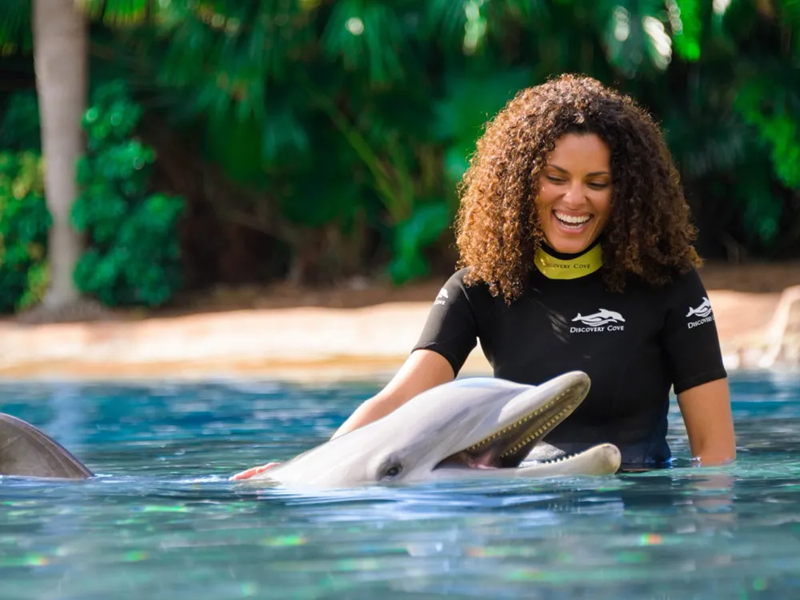 Discovery Cove Packages