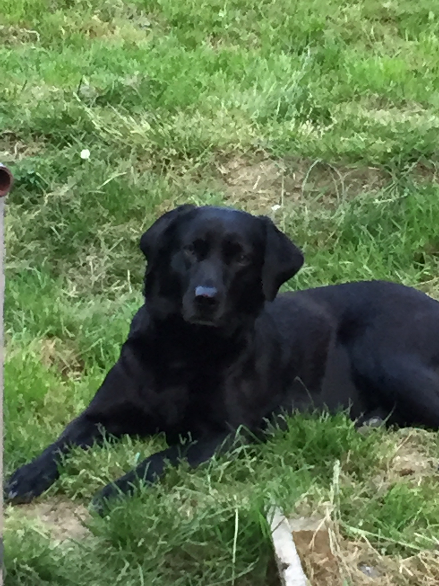 Cheap Orlando attraction ticket ideas for Disney World and Universal