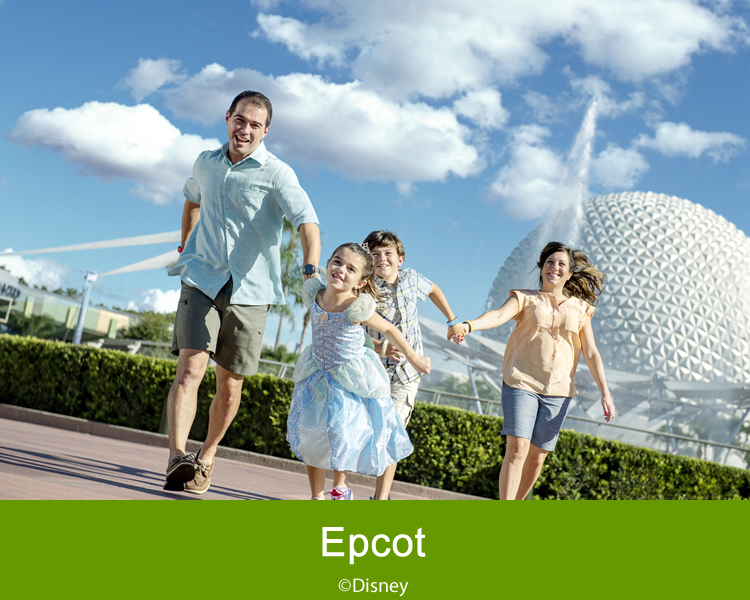 Disney Epcot family