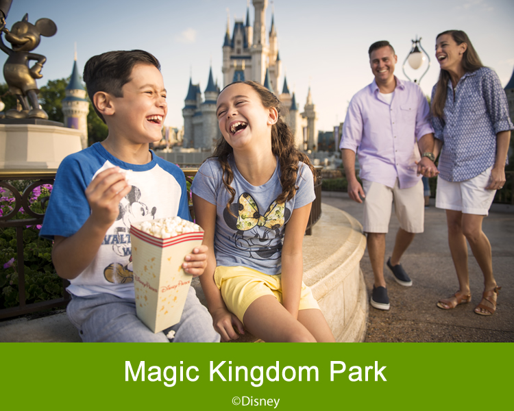 magic kingdom park