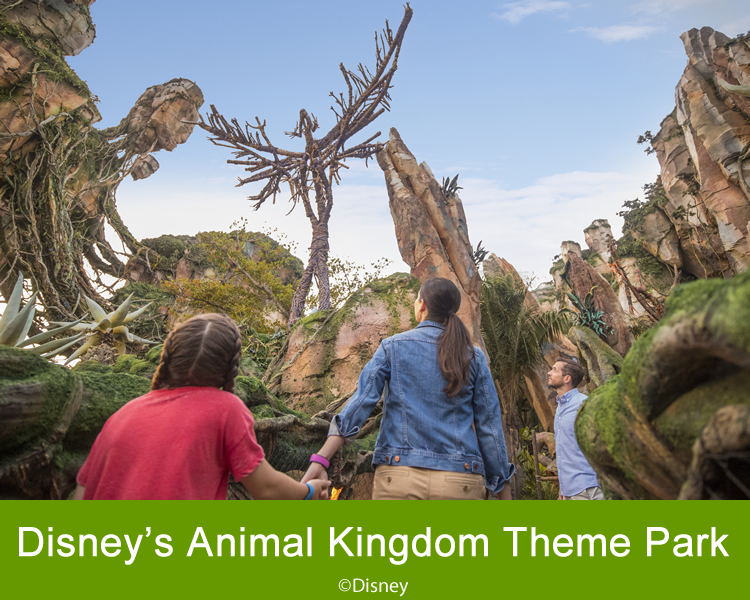 Walt Disney World 7 Day Ultimate Ticket